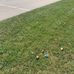 Cora House Park - Facebook