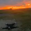 cora - @cora_jensen - TikTok