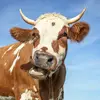 corakatz0417 - @ckatz06 - TikTok