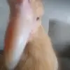 cora - @cora.keeney - TikTok