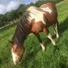 cora._.keeney_ - @cora_keeney_ - TikTok