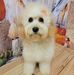 Coryna Kerwin - Facebook
