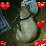 corazon8625 - @corakerns3 - Instagram