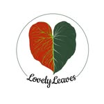 Cora & Kim - @lovelyleaves_shop - Instagram