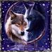 Cora Klein - Facebook