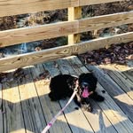 @cora.knight.6319665 - Instagram