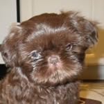 Cora Bondoc Knight - @bunso.of.9 - Instagram