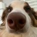 Cora Krause - Facebook