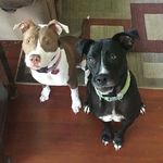 Stella And Cora - @stella_cora_krause - Instagram