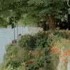 CORA - @cora.lacy - TikTok