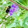 Cora lake - @cora666 - TikTok