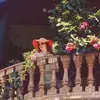 Coralanecrystal - @coralanecrystal - TikTok
