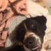 Cora Larkin - Facebook