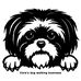 Coras Larkin - Facebook