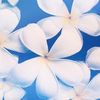 Cora Levingsto - @coralevingston1956 - TikTok
