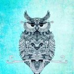 Coraslevin - @coraslevin567 - Instagram