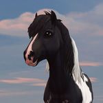 @cora_lighthawk - Instagram