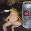 coral___light - @coral___light - TikTok