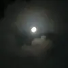 Xcoralinx - @.coralin.2 - TikTok