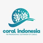 PT. Coral Indonesia - @coral.indonesia - Instagram