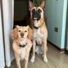 Cora y Link - @coraylink - TikTok