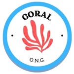 Coral Ong - @coral.ong_ - Instagram