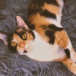Cora Mavis - @mavishoray - Instagram