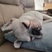 Cora Mavis - Facebook