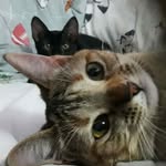 Coraline e Mavis - @coraline.mavis - Instagram