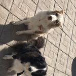 Cora&Newton - @newtonycora - Instagram