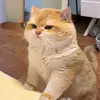 parkcora - @parkcora - TikTok