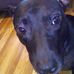 Cora Pearson - Facebook