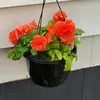 ❤️🏳️‍🌈cora🏳️‍🌈❤️ - @cora.peterson2001 - TikTok