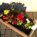 Coral Pickering - Facebook