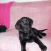 Coral Piggott - Facebook