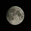 poe.masdelcora - @poe.masdelcora - TikTok