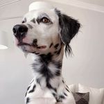Cora Jewel - @polkadotprincess_cora - Instagram