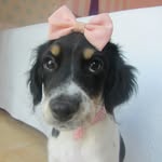 Cora - @cora_princess - Instagram