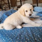 Cora Purdy - Facebook