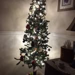 Cora Putnam - @hand_sew34 - Instagram