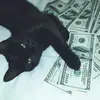 cora.q - @cora.quinn - TikTok
