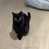coraquinnn - @coraquinnn - TikTok