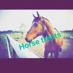 cora raines - @horse_treats_for_sale_123 - Instagram