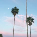 Cooors - @cora_ramey - Instagram