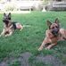 Cora Rausch - Facebook