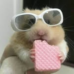 ☆𝐶𝑂𝑅𝐴 𝑅𝐸𝑌𝐸𝑆☆ - @reyescora06 - Instagram