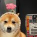 Cora Reyes - Facebook