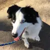 Cora Ritchie895 - @mr.toad02 - TikTok