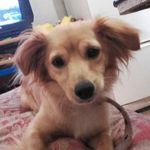 cora_rosita_rivas - @cora_rosita - Instagram