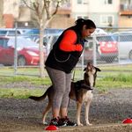 Cora Robles - @walkswithdogs23 - Instagram